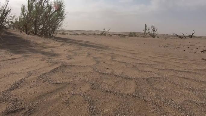 沙尘暴 沙漠 行走 刮风 地裂 开裂干旱