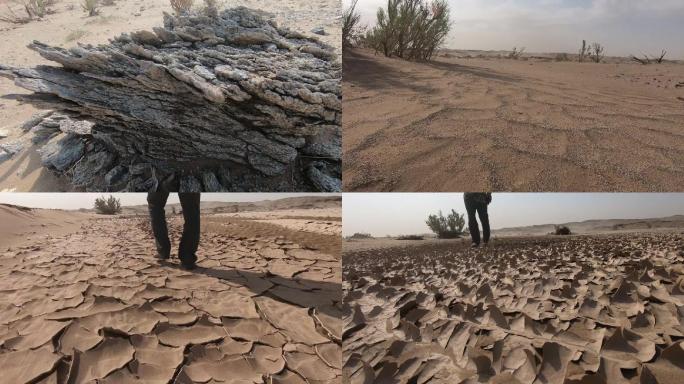 沙尘暴 沙漠 行走 刮风 地裂 开裂干旱