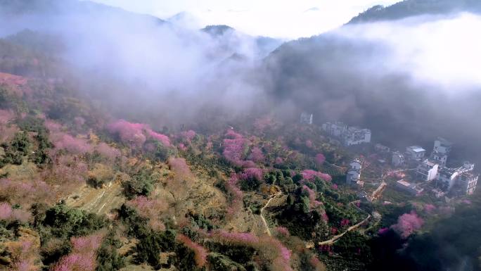 航拍4K黄山歙县卖花渔村