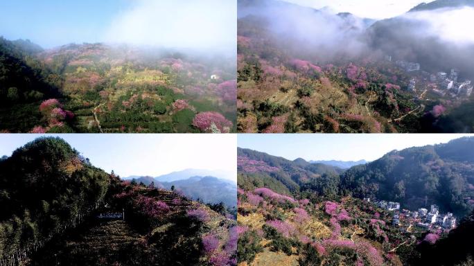 航拍4K黄山歙县卖花渔村