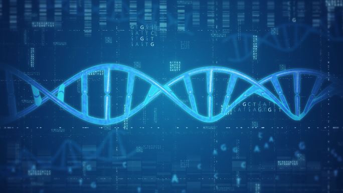 DNA遗传密码4K