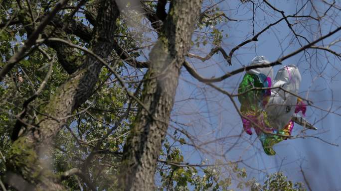 4K挂在树梢的儿童气球一组