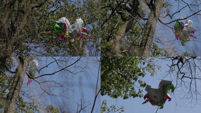 4K挂在树梢的儿童气球一组