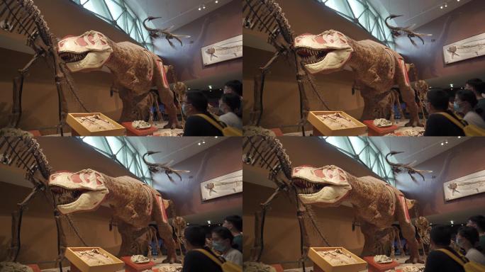 上海自然博物馆霸王龙标本