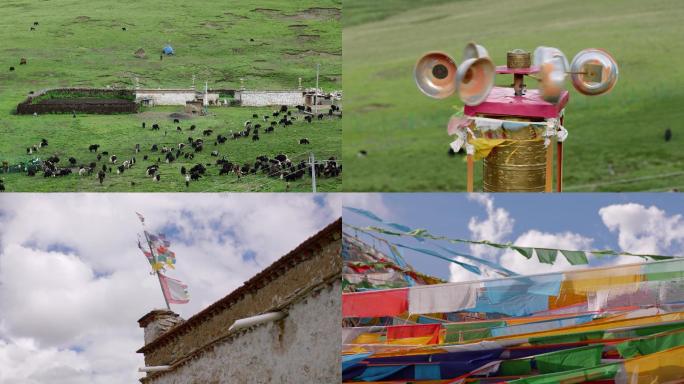 西藏，油菜，雪山，经幡，牛群