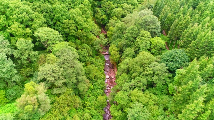 六盘山小南川，雨后森林美景