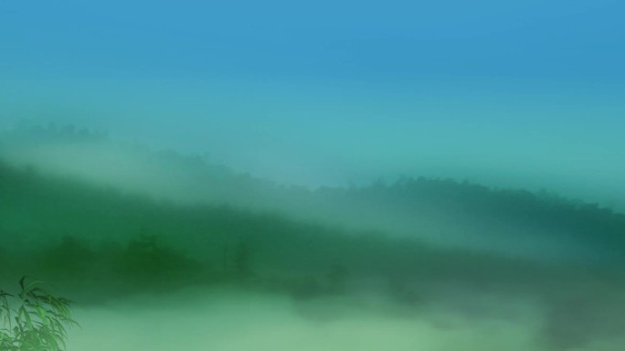 雾气山中竹林