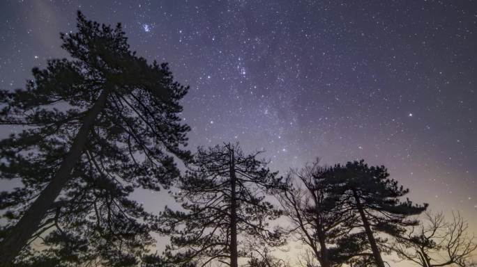 星空下的黄山松延时