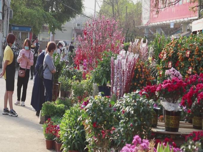 过年过节的花鸟市场视频素材