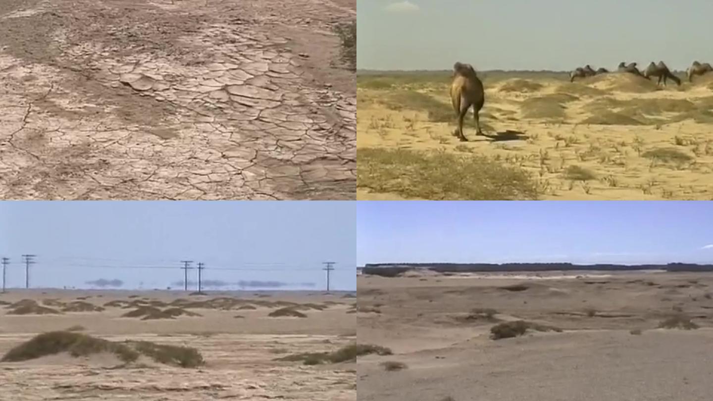 西北干旱沙化水土保持水资源枯竭流失