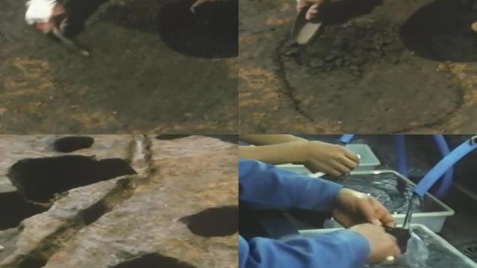 1980年考古学家发掘天马遗址西周时期