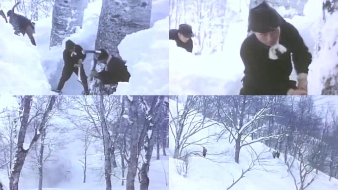 60年代冬季冰雪积雪伐木工人破坏原始森林