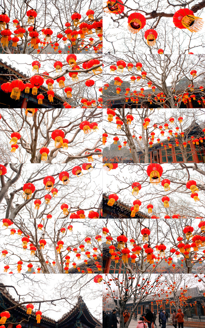 北京颐和园乐寿堂春节过年元宵节气氛红灯笼