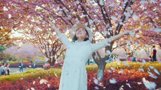 女孩抛洒樱花合集