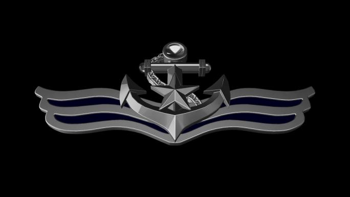 02海军胸标