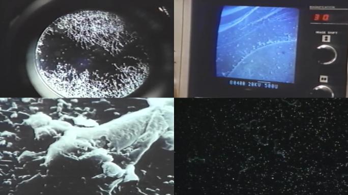 早期生化医药生物试验电子显微镜微生物细菌