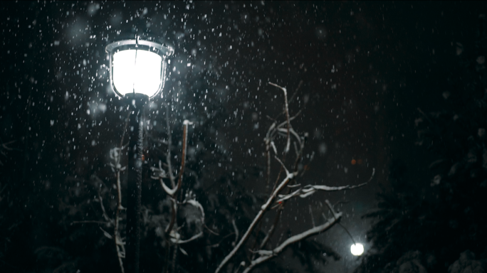 夜晚升格雪景