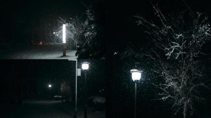 夜晚升格雪景