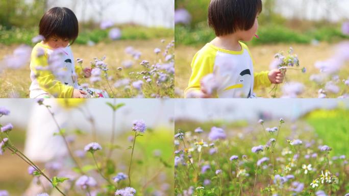 宝宝室外玩玩小孩摘野花