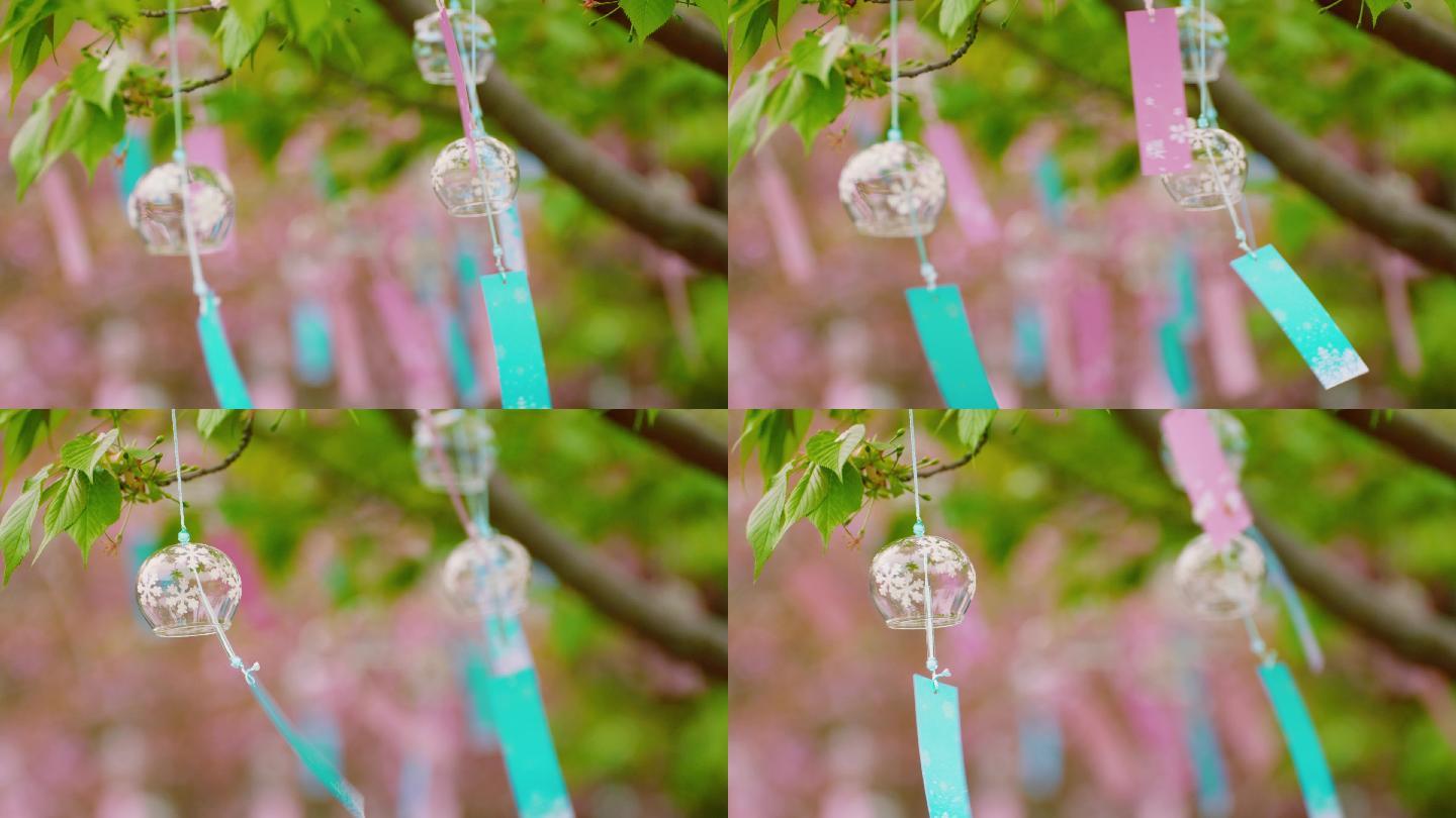 风铃与樱花4