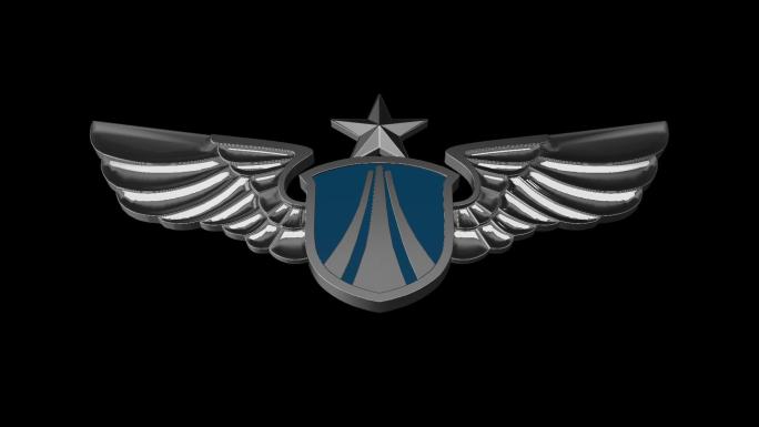 03空军胸标