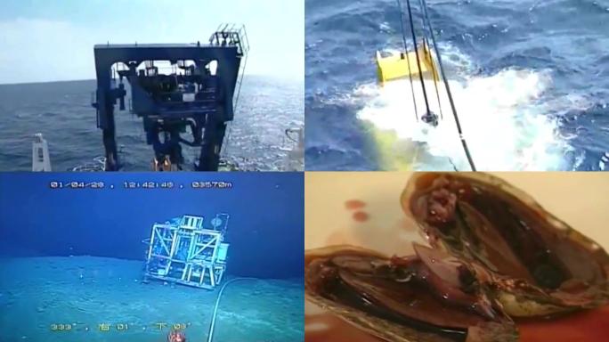 机器人潜水器潜水艇观察分析观测海洋生物