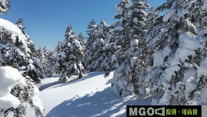 雪淞雾凇森林雪景，白茫茫长白山雪景