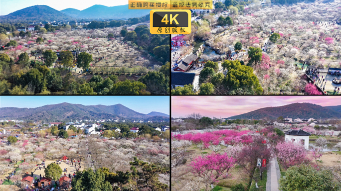 苏州光福香雪海景区