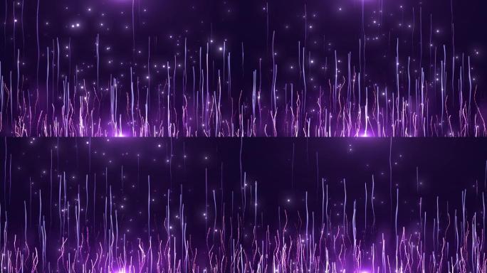 梦幻紫唯美线条上升背景循环-8