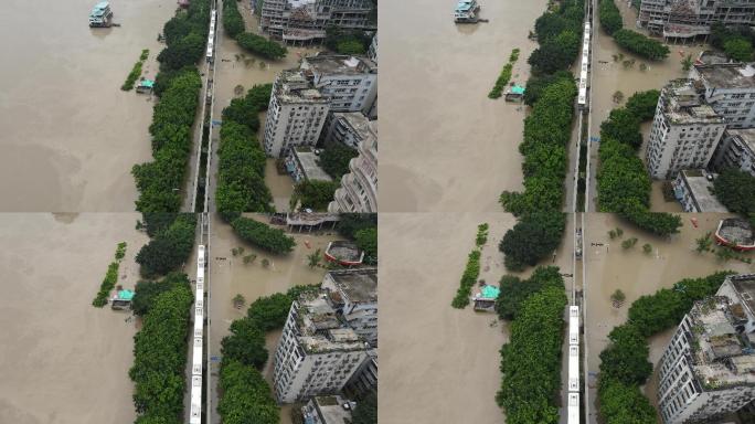 重庆水灾，轻轨，洪峰，城市被淹，水灾