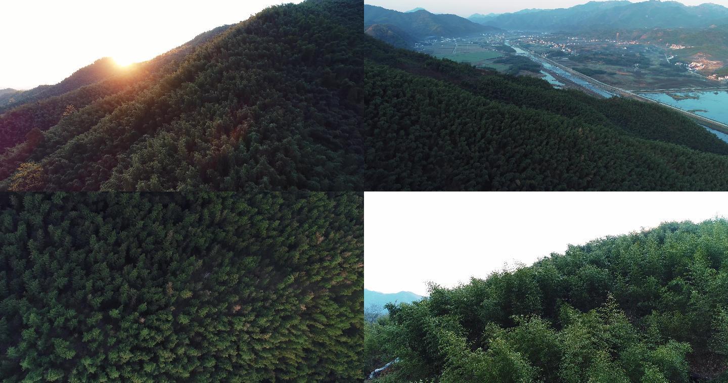 飞跃大山森林丛林高空大好河山山