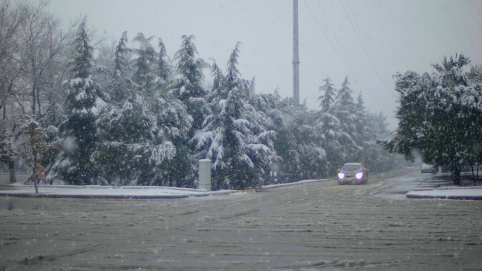 下雪开车-大雪城市道路交通-风雪中的汽车