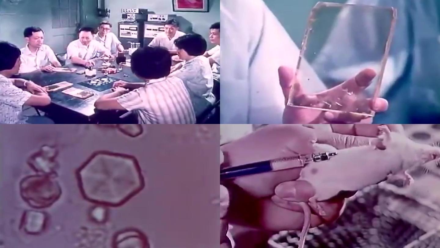 70年代病毒检测小白鼠实验