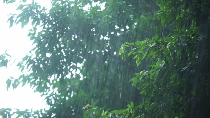 4K南方广州下雨特写雨滴慢动作