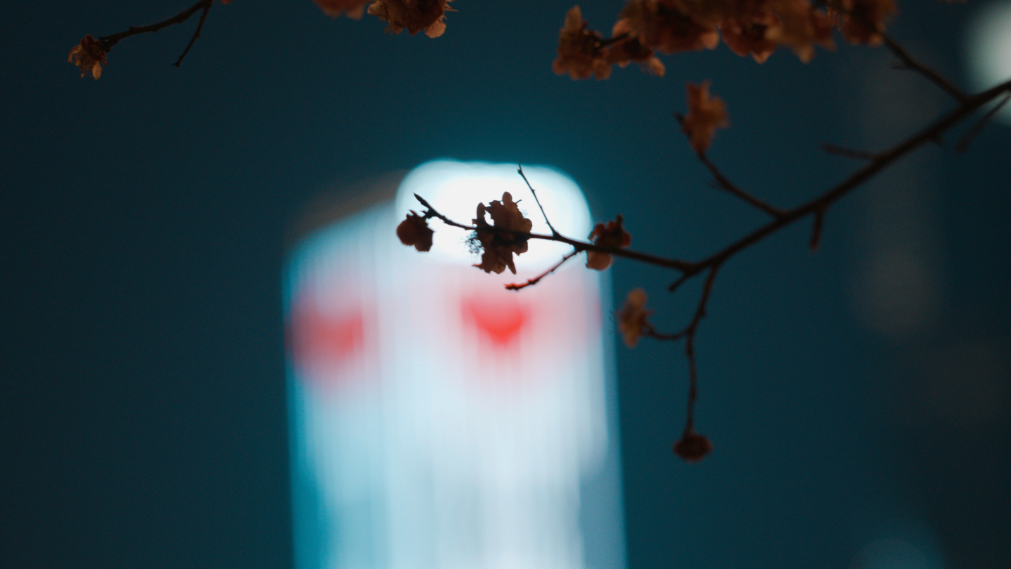 城市灯光下的桃花
