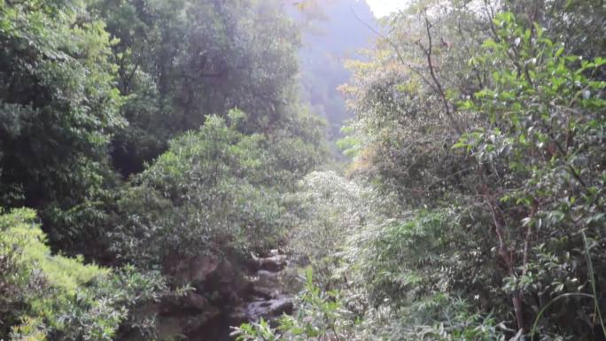 钦州八寨沟风景区山水风光