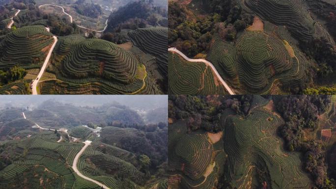 最美高山茶园大地指纹茶山航拍4K