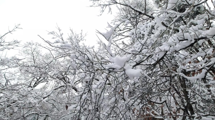 4k山中雪景