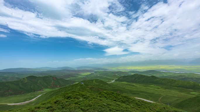 张掖祁连山油菜花