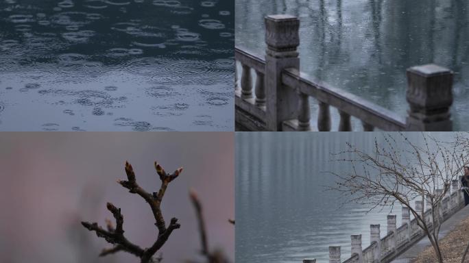 城市谷雨，岸边安静，河面涟漪，春雨清晨