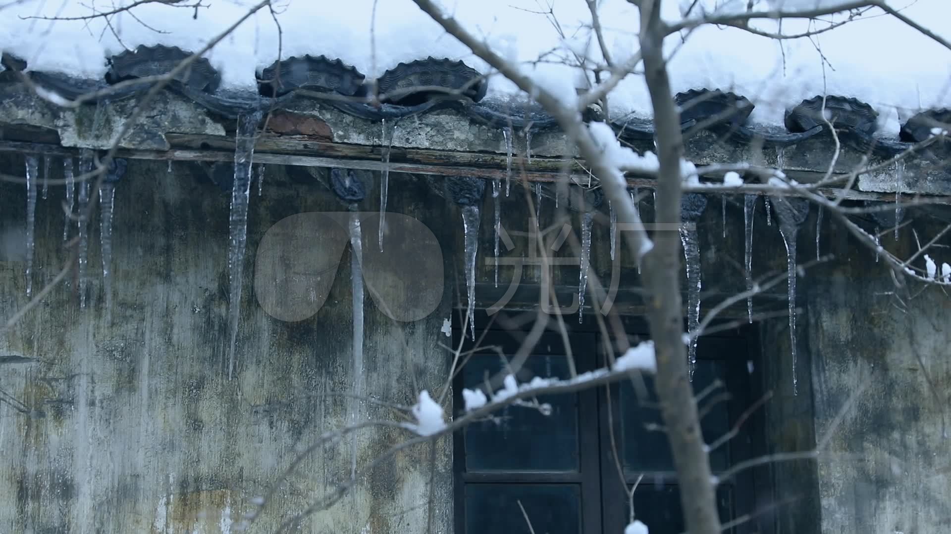 结冰在冰树枝，被冰的树 库存照片. 图片 包括有 冷静, 森林, 详细资料, 冻结, 熔化, 特写镜头, 场面 - 80451446