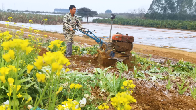 春天播种花生耕地撒化肥