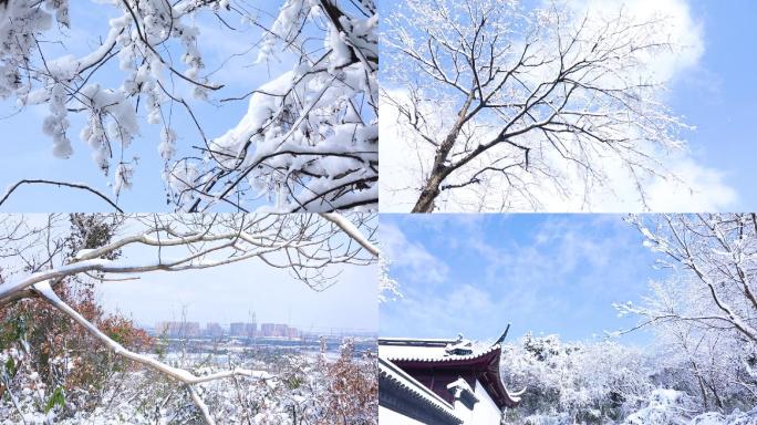 美景白雪皑皑大森林意境雪景意境雪景