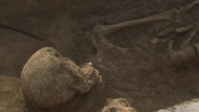 考古发掘现场原始人骨头