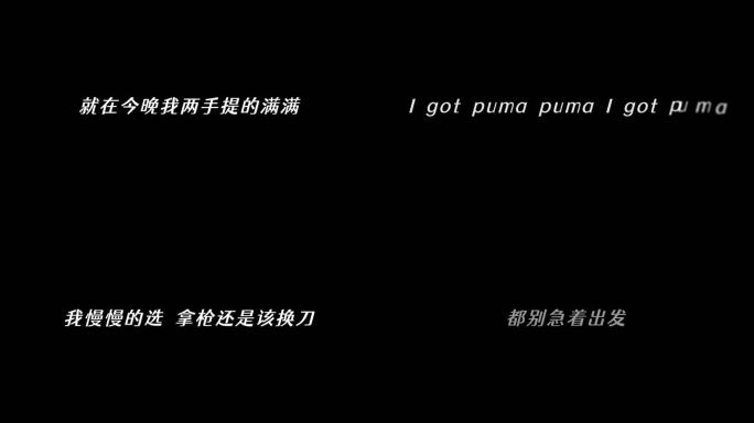 NINEONE-PUMA