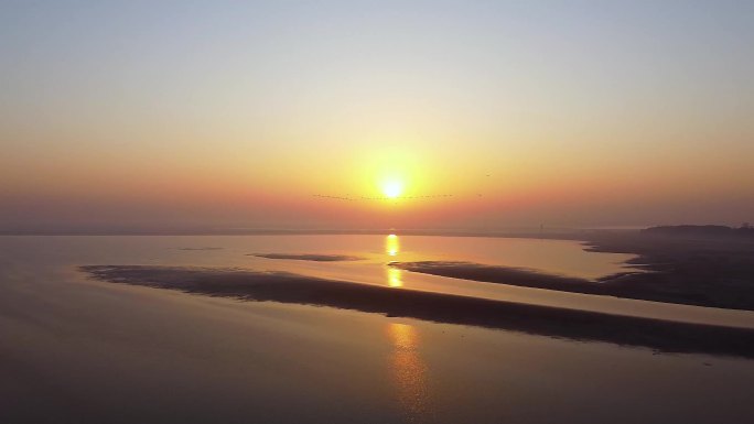 鄱阳湖 候鸟伴日出