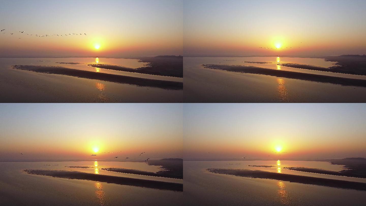 鄱阳湖 候鸟伴日出