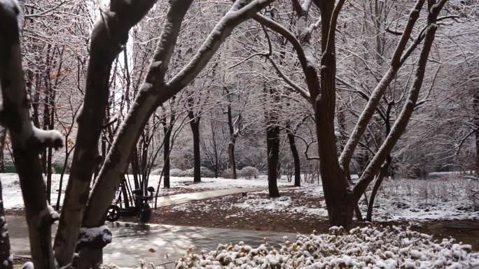 城市冬天雪后初晴寒冷雪中行人带小孩玩雪