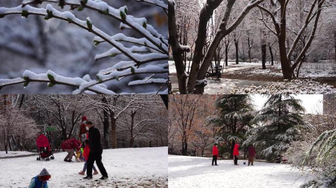 城市冬天雪后初晴寒冷雪中行人带小孩玩雪