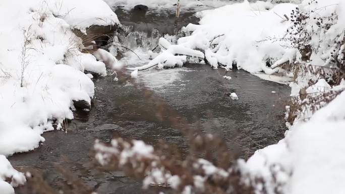 冬季雪景冰雪融化白雪特写